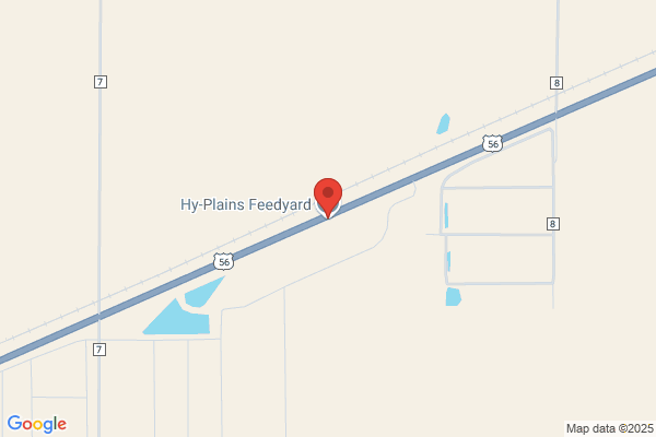 Hy-Plains Feedyard Llc