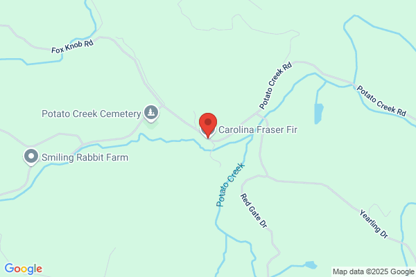 Carolina Quality Fraser Fir Farms