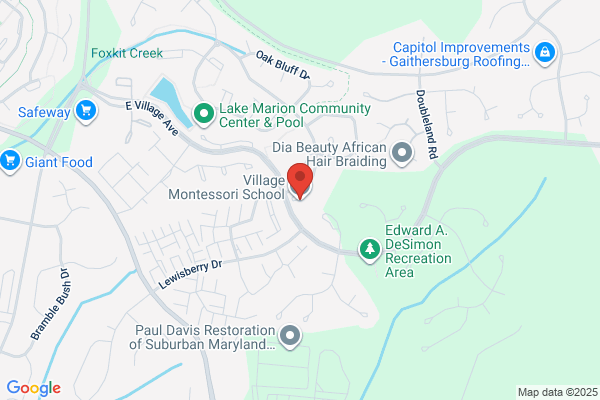Village Montessori School