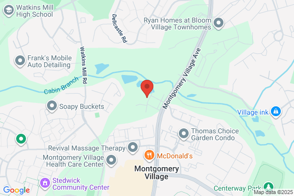 Willow Tree Inn the