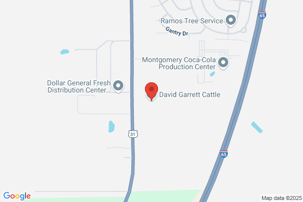 Taylor Cattle Company