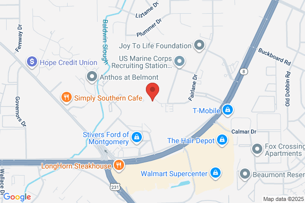 Legal Services Alabama