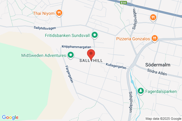 Hill Sally S