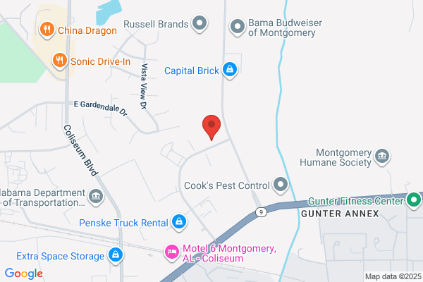 Universal Solutions of Montgomery