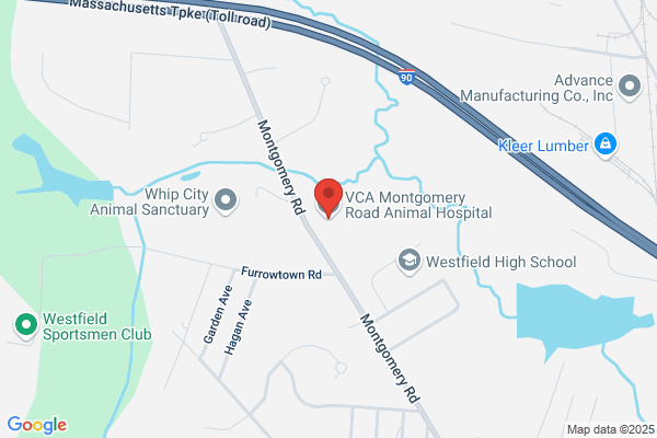VCA Montgomery Road Animal Hospital