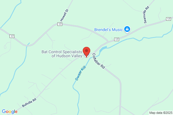 Bat Control Specialists of Hudson Valley