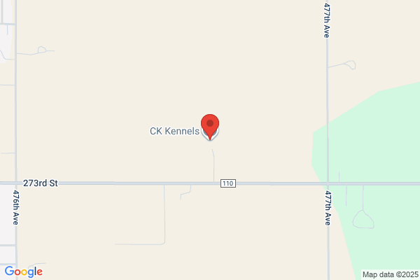 C K Kennels