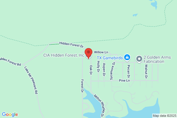 Hidden Forest Cia Inc
