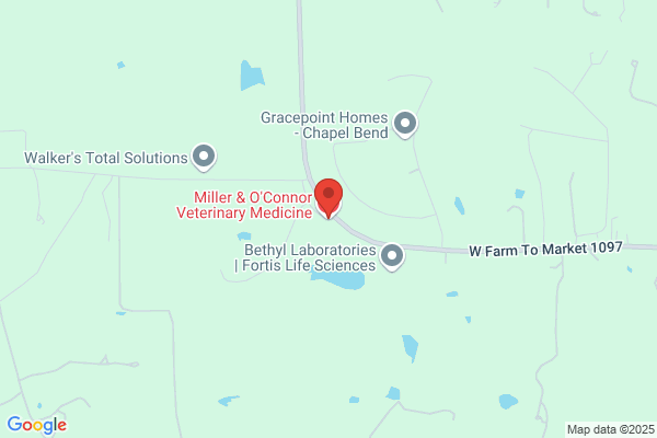 Miller & O'Connor Veterinary Medicine, PLLC
