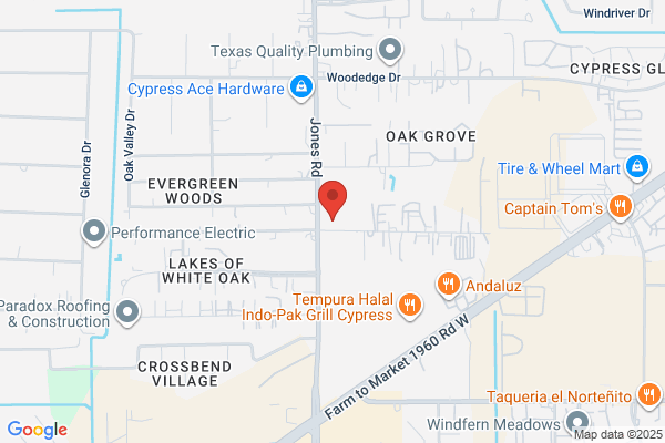 Napa Auto Parts