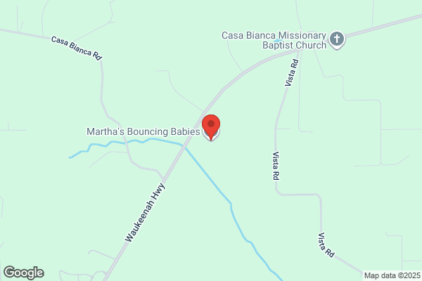 Marthas Bouncing Babies