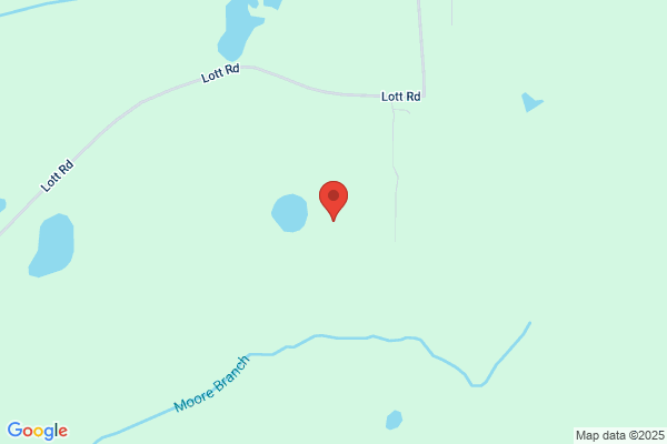 Ox Lake Tree Farm