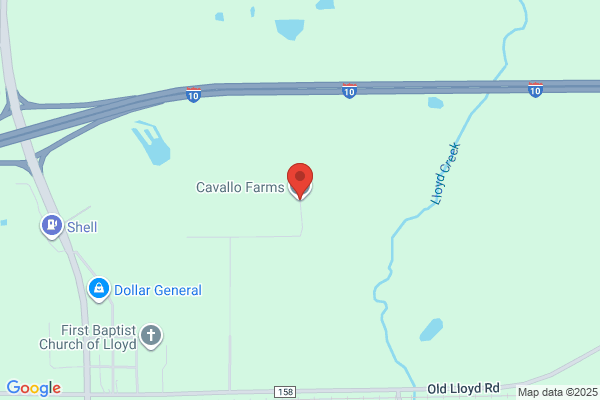 Cavallo Farms