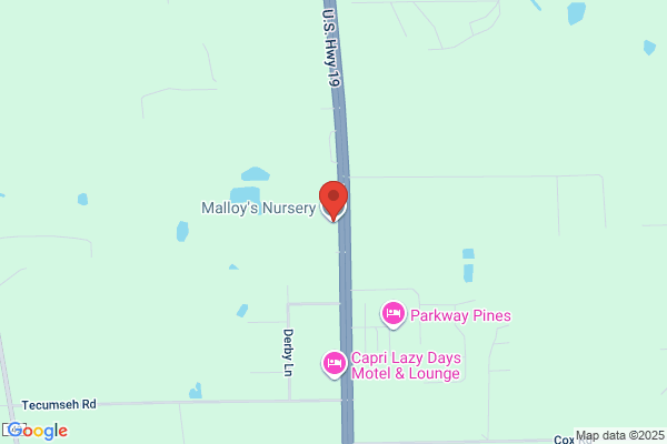 Malloys Nursery