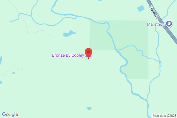 Bronze by Cooley