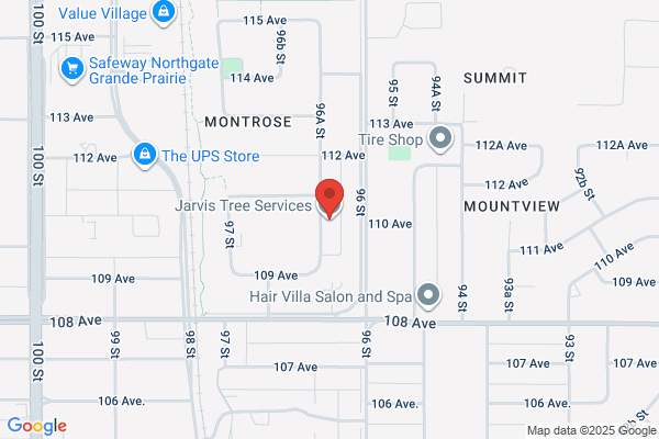 Jarvis Tree & Stump Removal