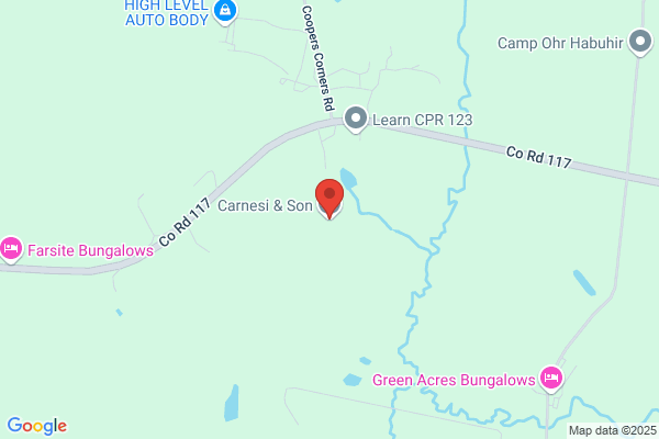 Carnesi & Son Inc