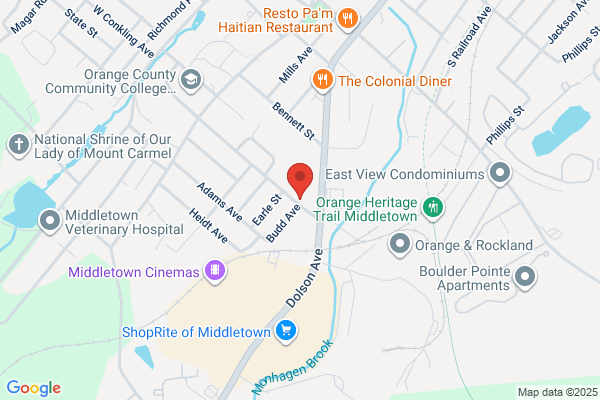 Nas Security Systems Inc