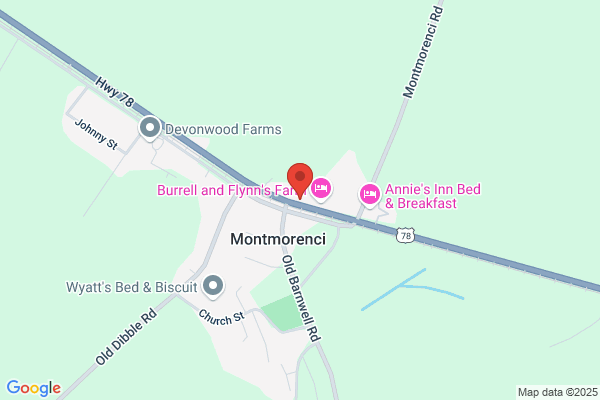 Montmorenci Junction