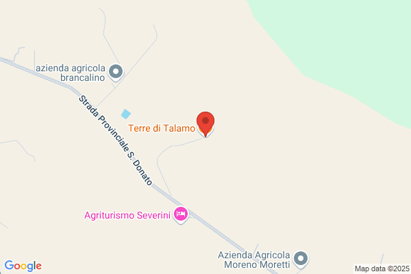 Talamo, Richard OD