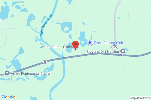 Amite Animal Clinic