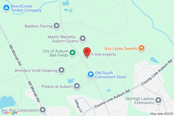 H & H Tree Experts