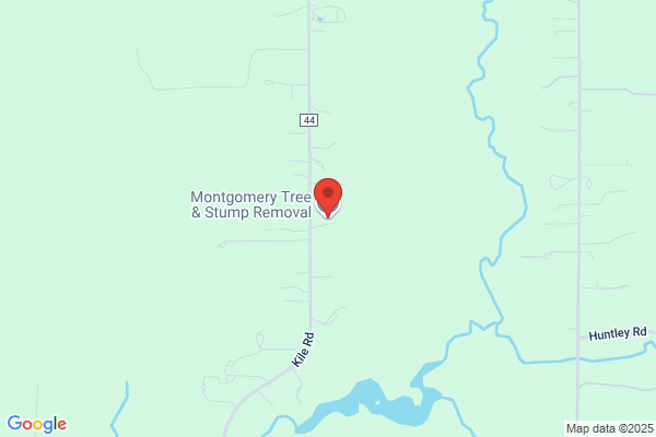 Montgomery Tree & Stump Removal