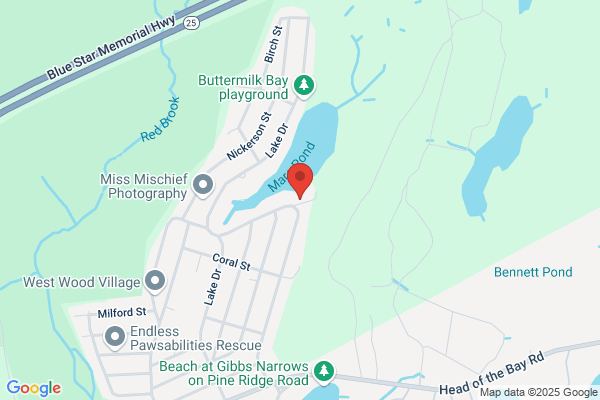 Cape Cod Swim Club the