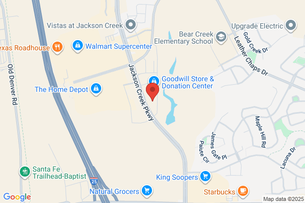 Advance Auto Parts