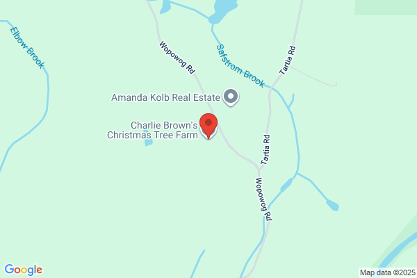 Charlie Brown's Christmas Tree Farm