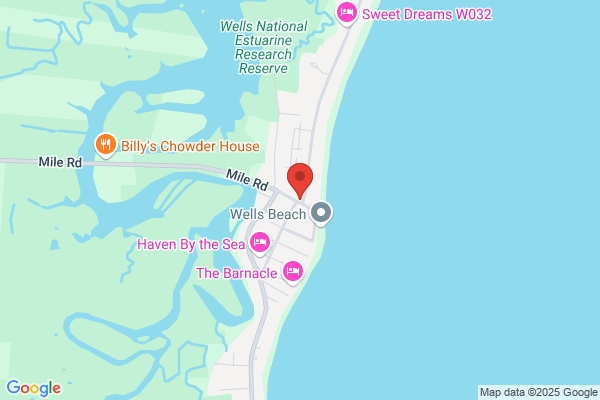 Beachcomber the