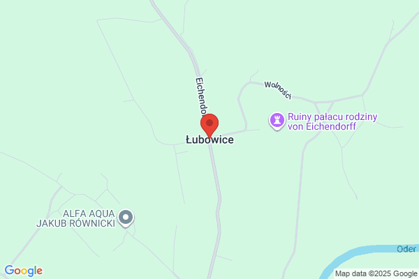 Lubowitz Group
