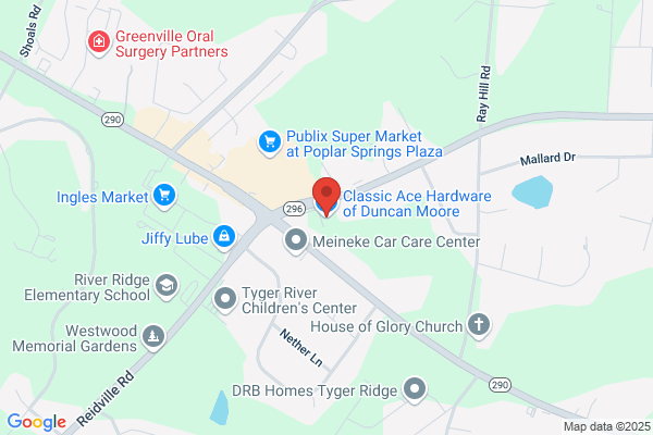 Ace Hardware, Moore