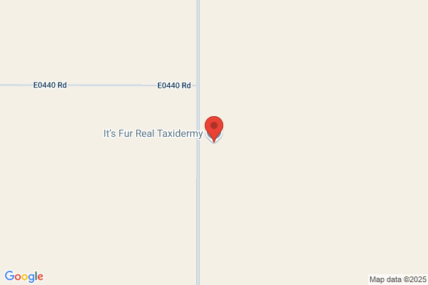 It's Fur Real Taxidermy
