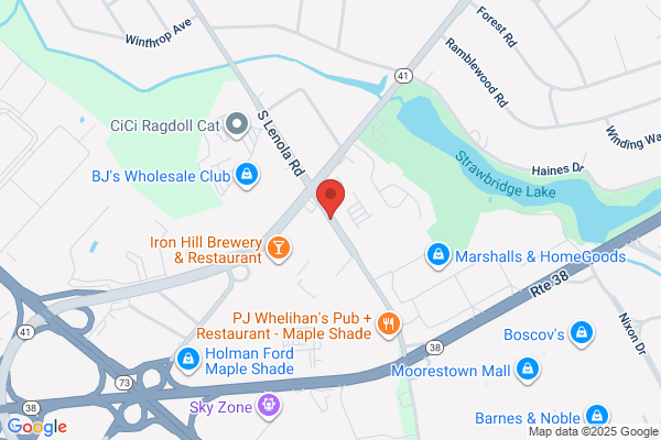 Mapping Technologies International Inc