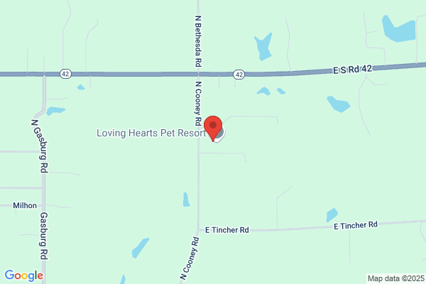Loving Hearts Pet Resort