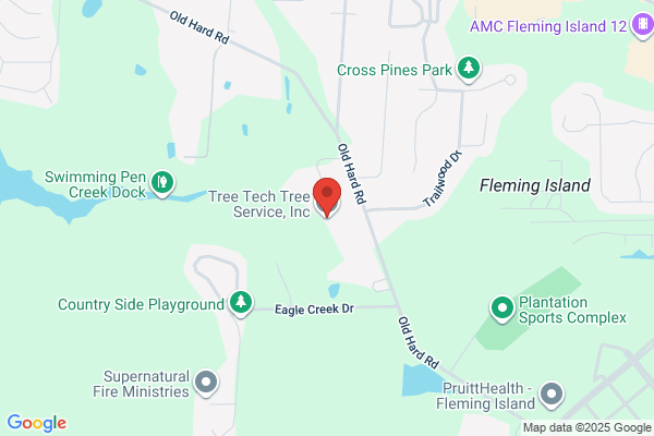 Tree Tech Tree Service