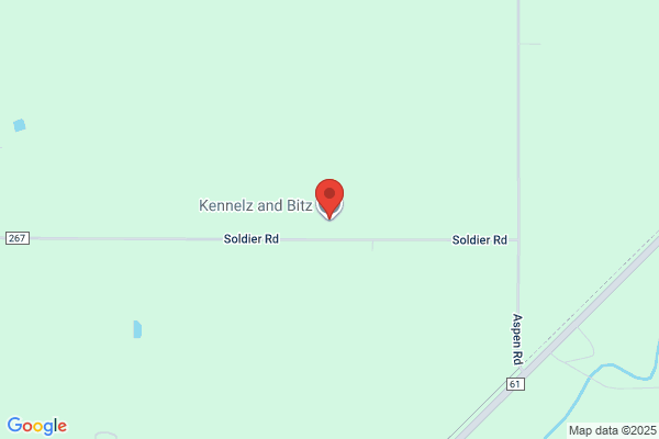 Kennelz and Bitz
