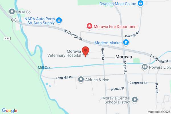 Moravia Veterinary Hospital