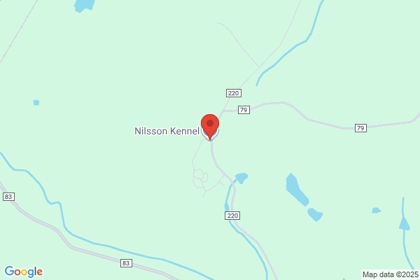 Nelson's Kennels