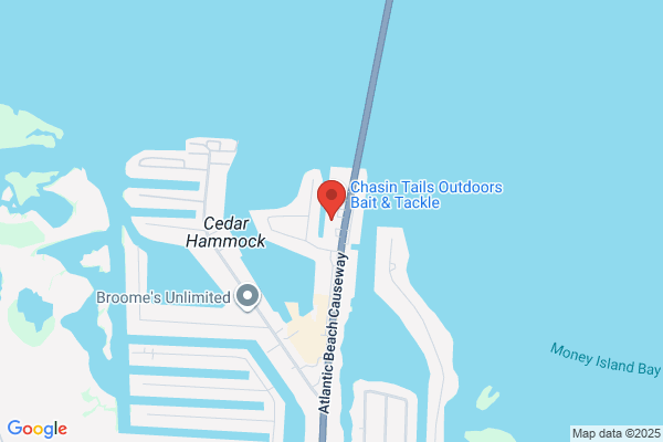 Surfshop Ecx Inc