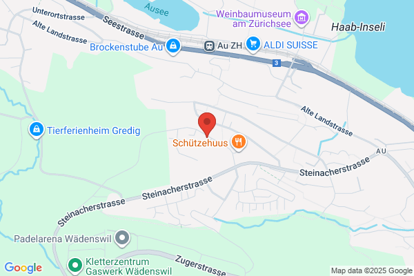 Miguel's Auto Transport