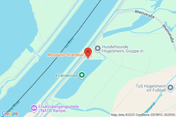Mosquito Bar
