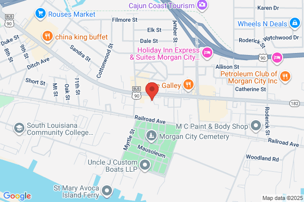 Customs Software Solutions