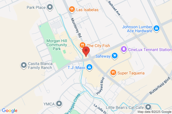 AutoZone Auto Parts