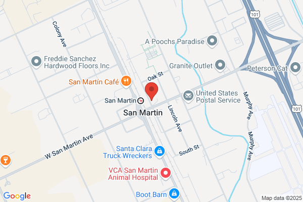 San Martin Drive In Market