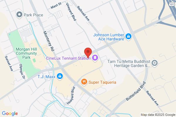 Debbie Adamo - REALTOR