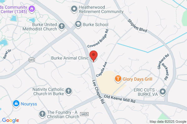 Burke Animal Clinic