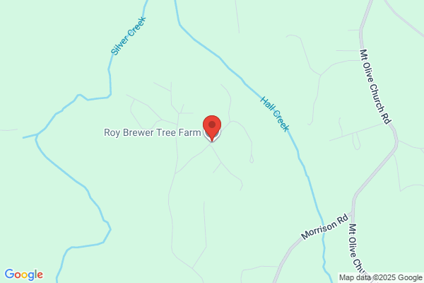Brewer Roy Tree Farm