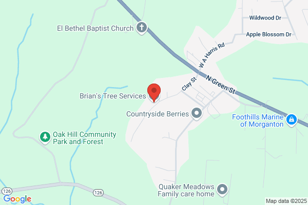 Brian's Tree Service